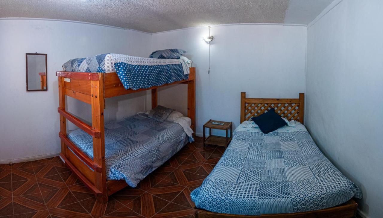 Hostal Michel Vicuna Exterior photo