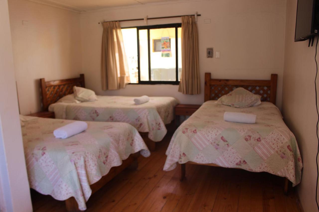 Hostal Michel Vicuna Exterior photo