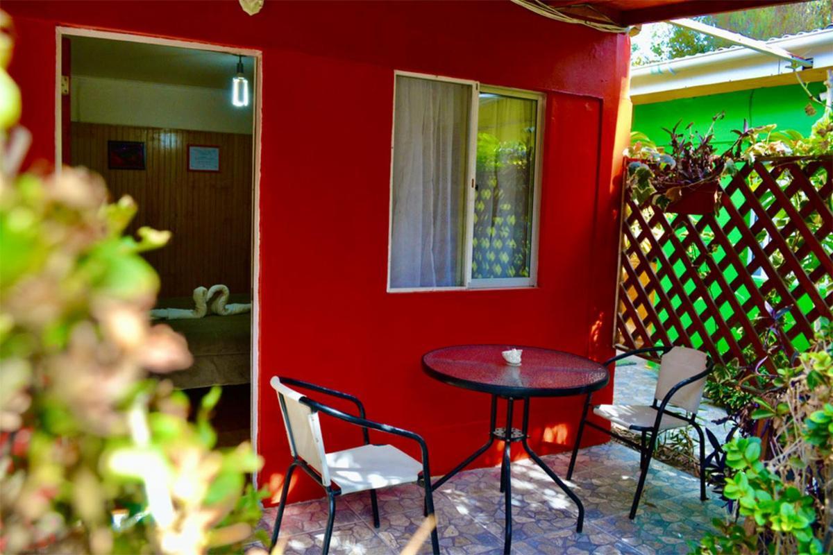 Hostal Michel Vicuna Exterior photo