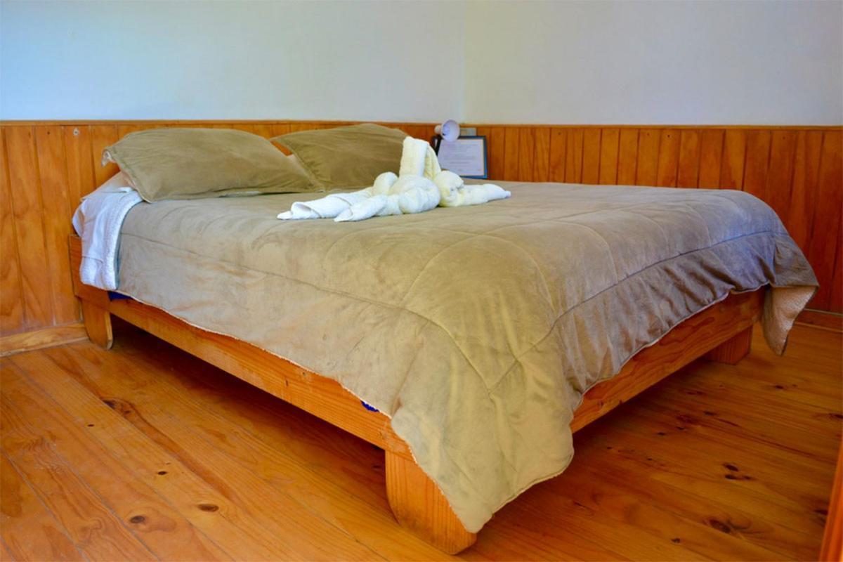 Hostal Michel Vicuna Exterior photo