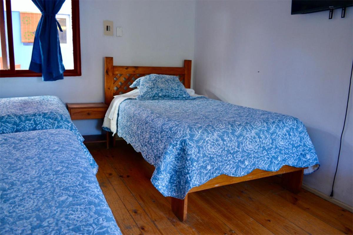 Hostal Michel Vicuna Exterior photo
