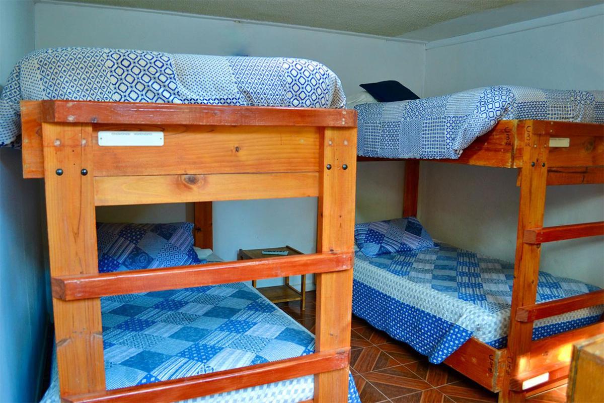 Hostal Michel Vicuna Exterior photo