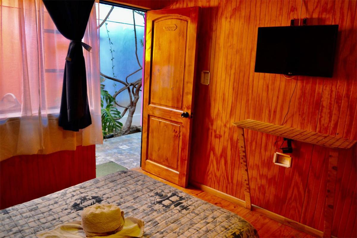 Hostal Michel Vicuna Exterior photo