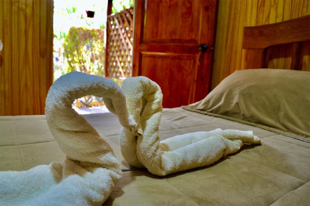 Hostal Michel Vicuna Exterior photo