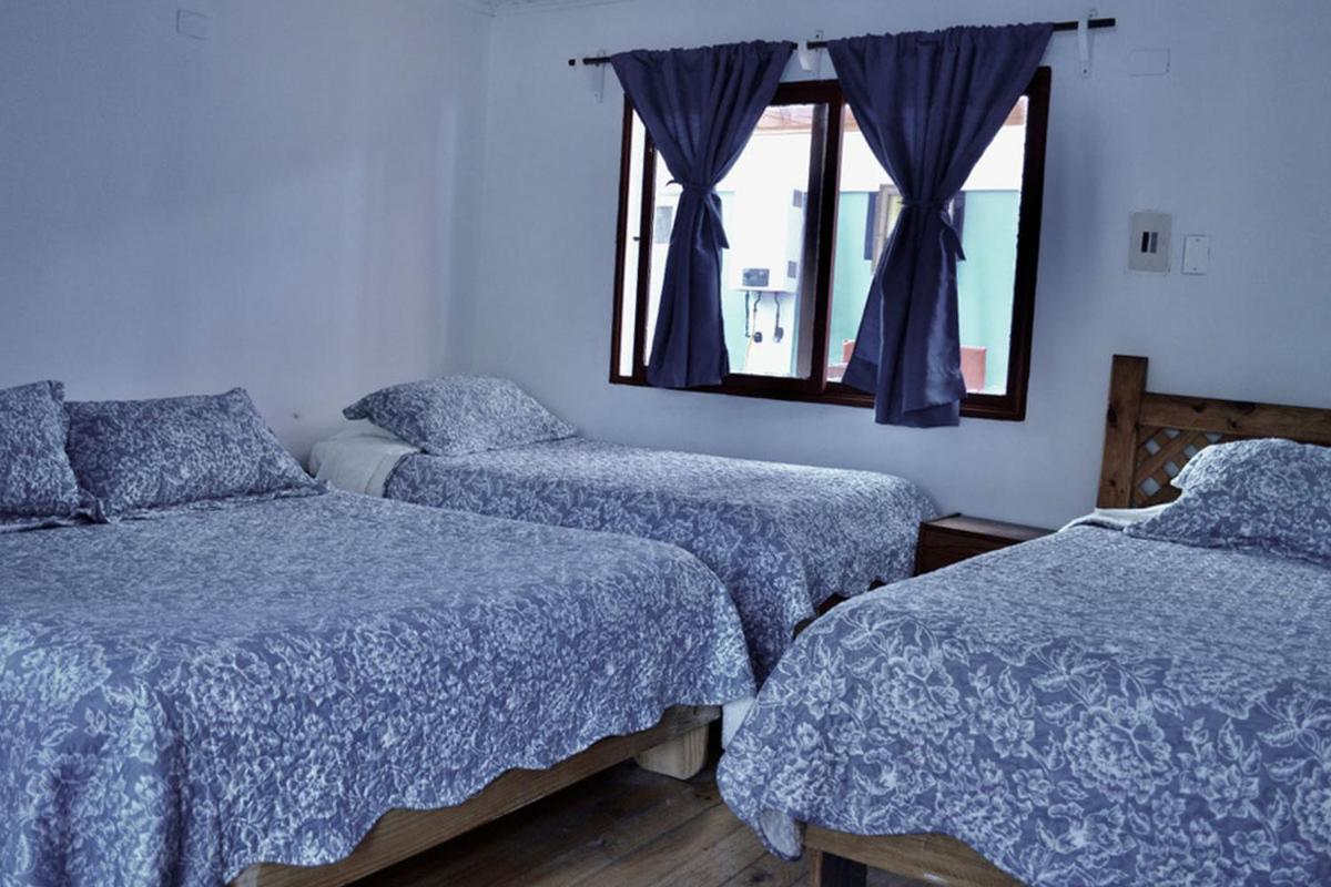 Hostal Michel Vicuna Exterior photo