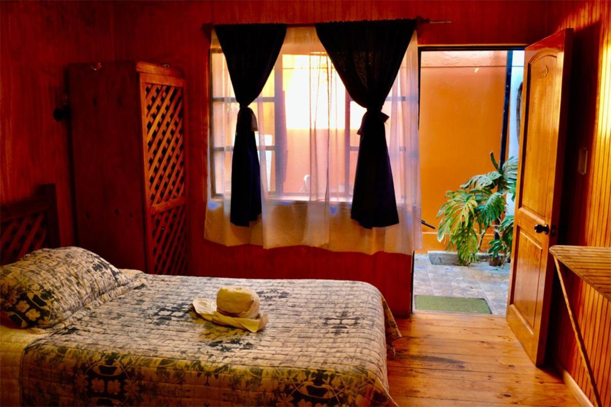 Hostal Michel Vicuna Exterior photo