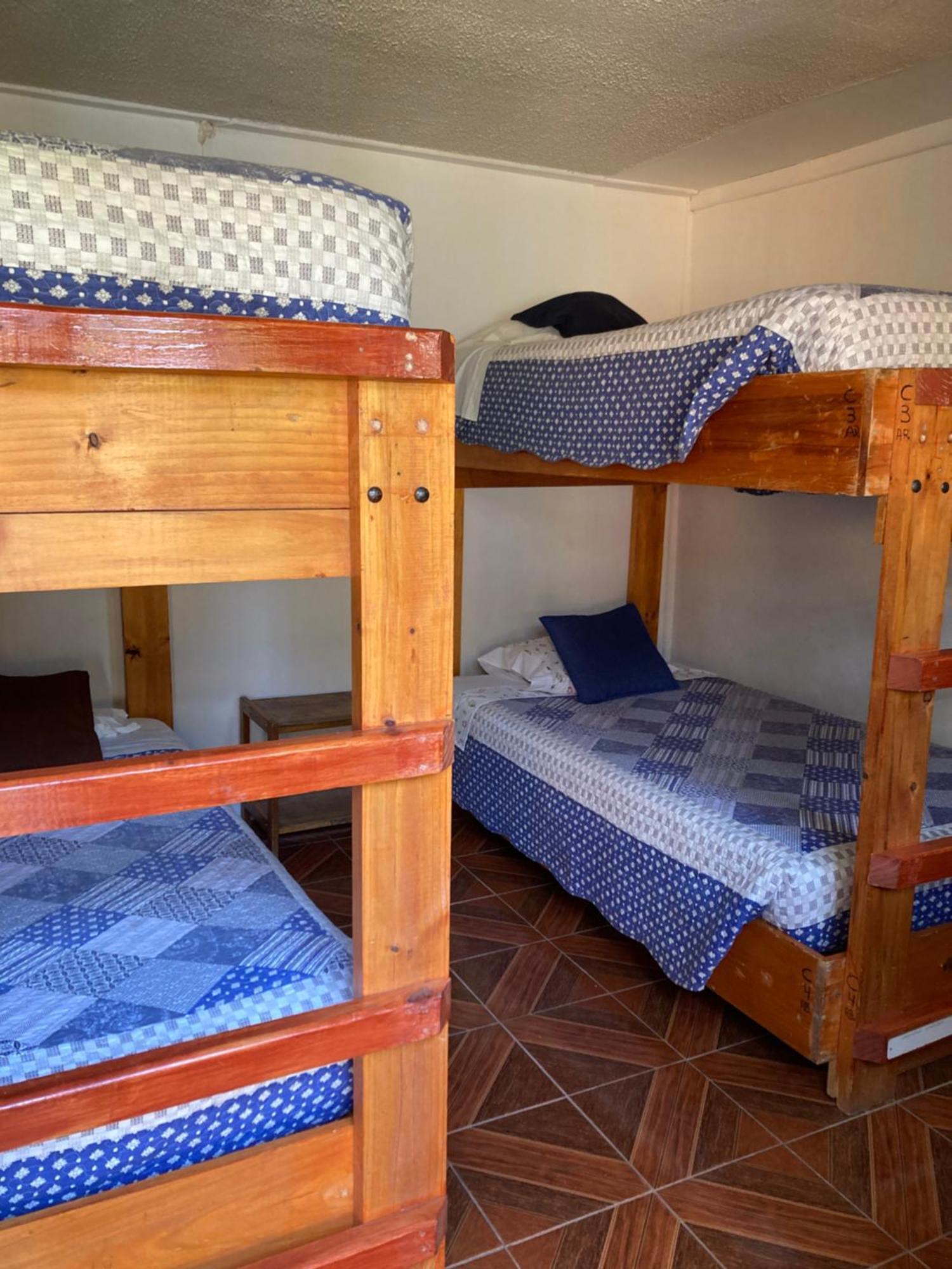 Hostal Michel Vicuna Exterior photo