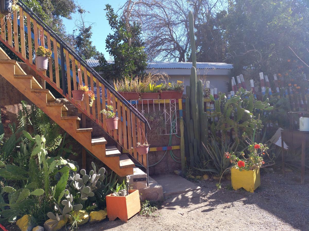 Hostal Michel Vicuna Exterior photo