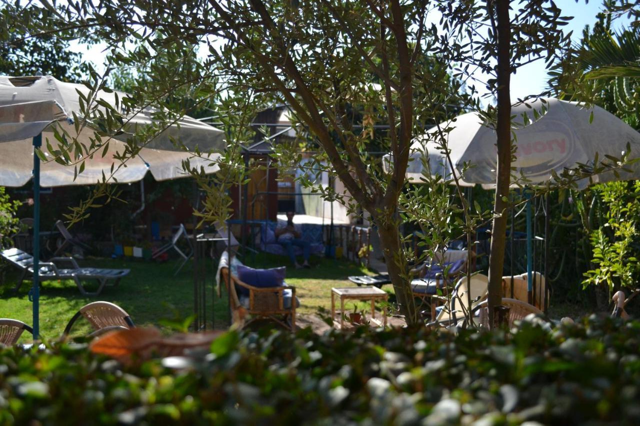 Hostal Michel Vicuna Exterior photo
