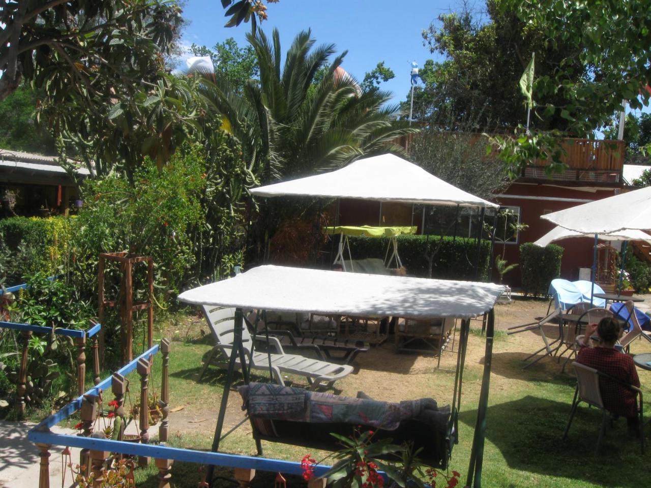 Hostal Michel Vicuna Exterior photo
