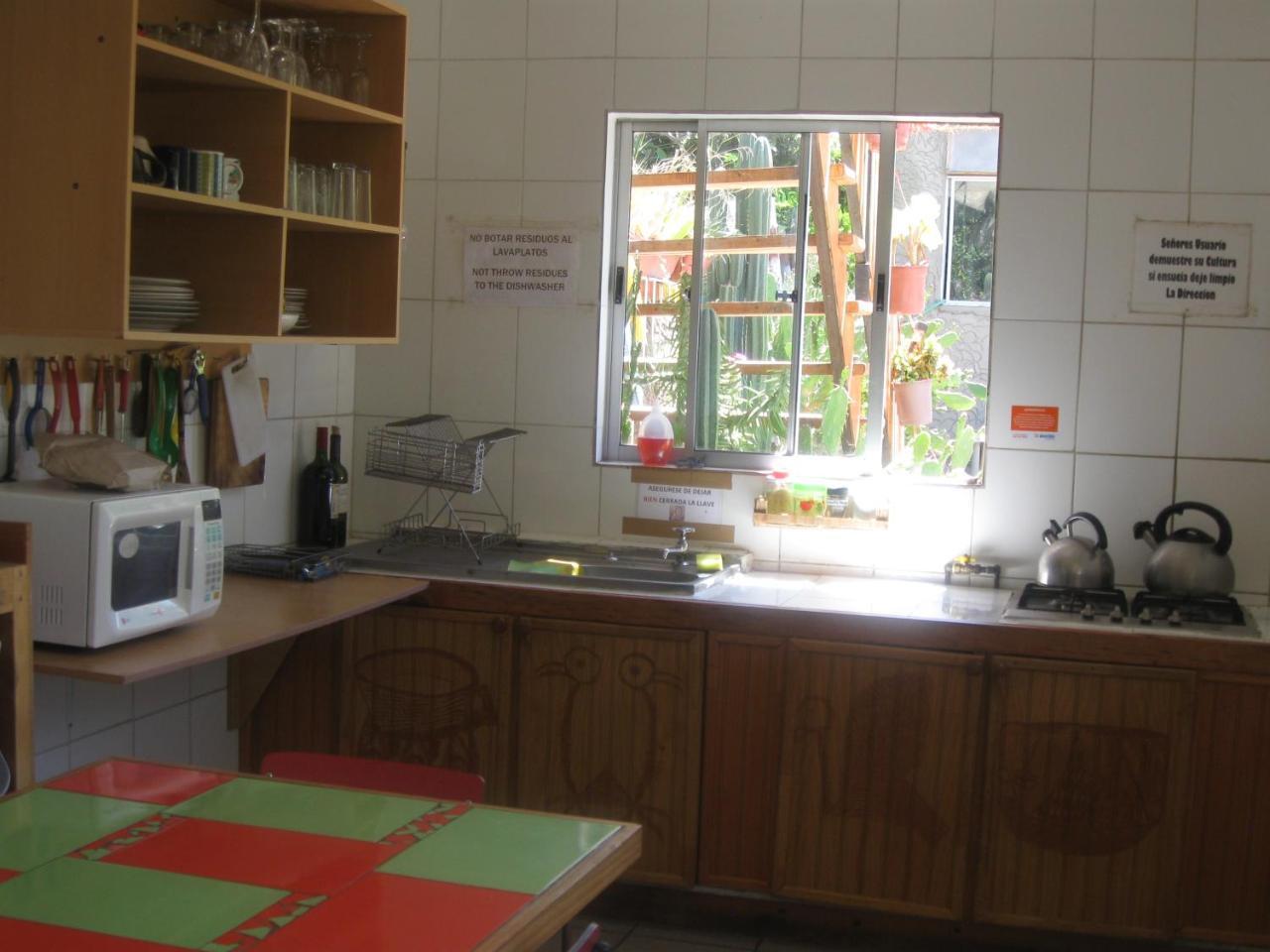 Hostal Michel Vicuna Exterior photo