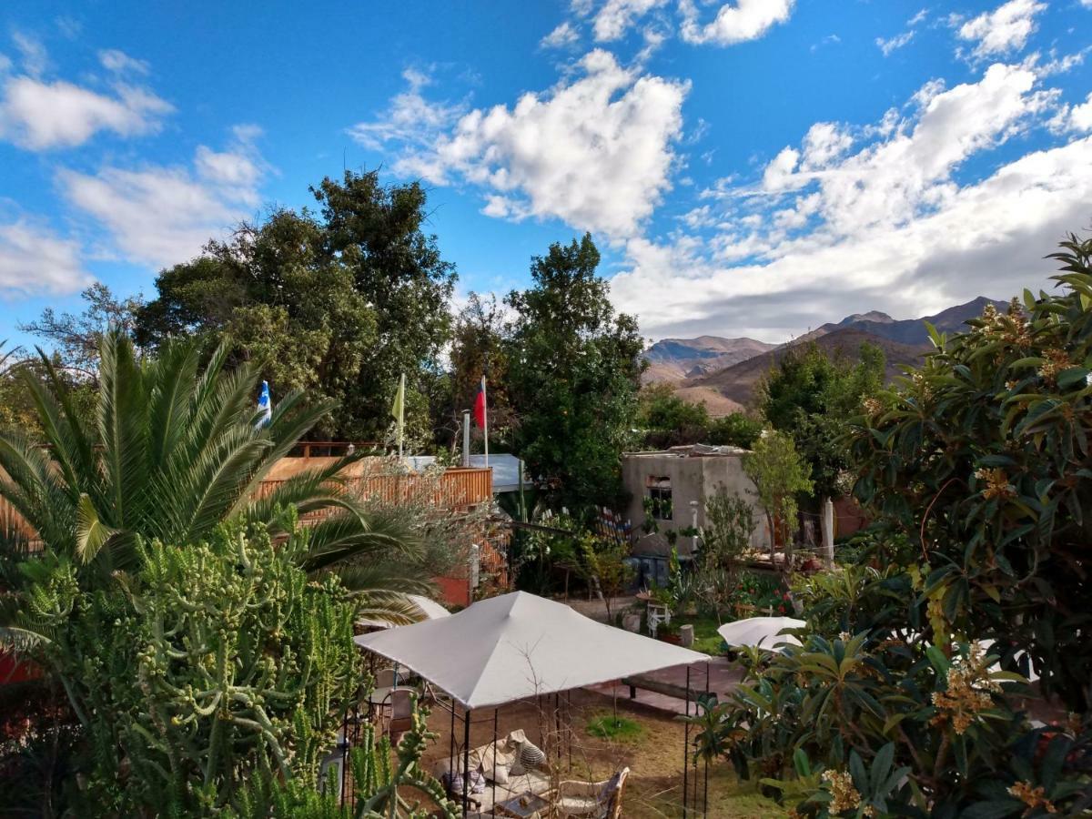 Hostal Michel Vicuna Exterior photo