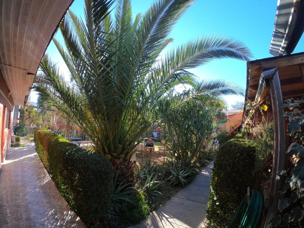 Hostal Michel Vicuna Exterior photo