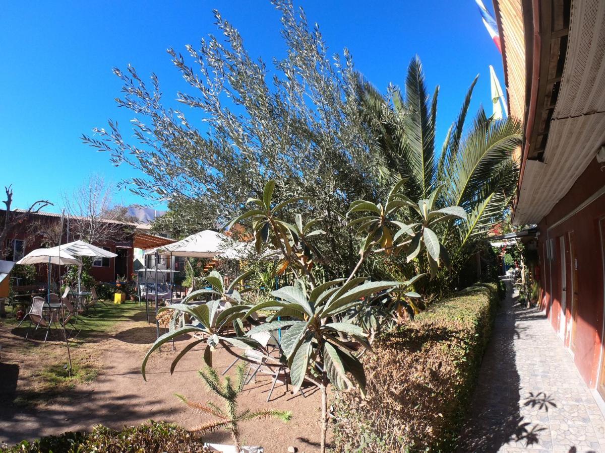 Hostal Michel Vicuna Exterior photo